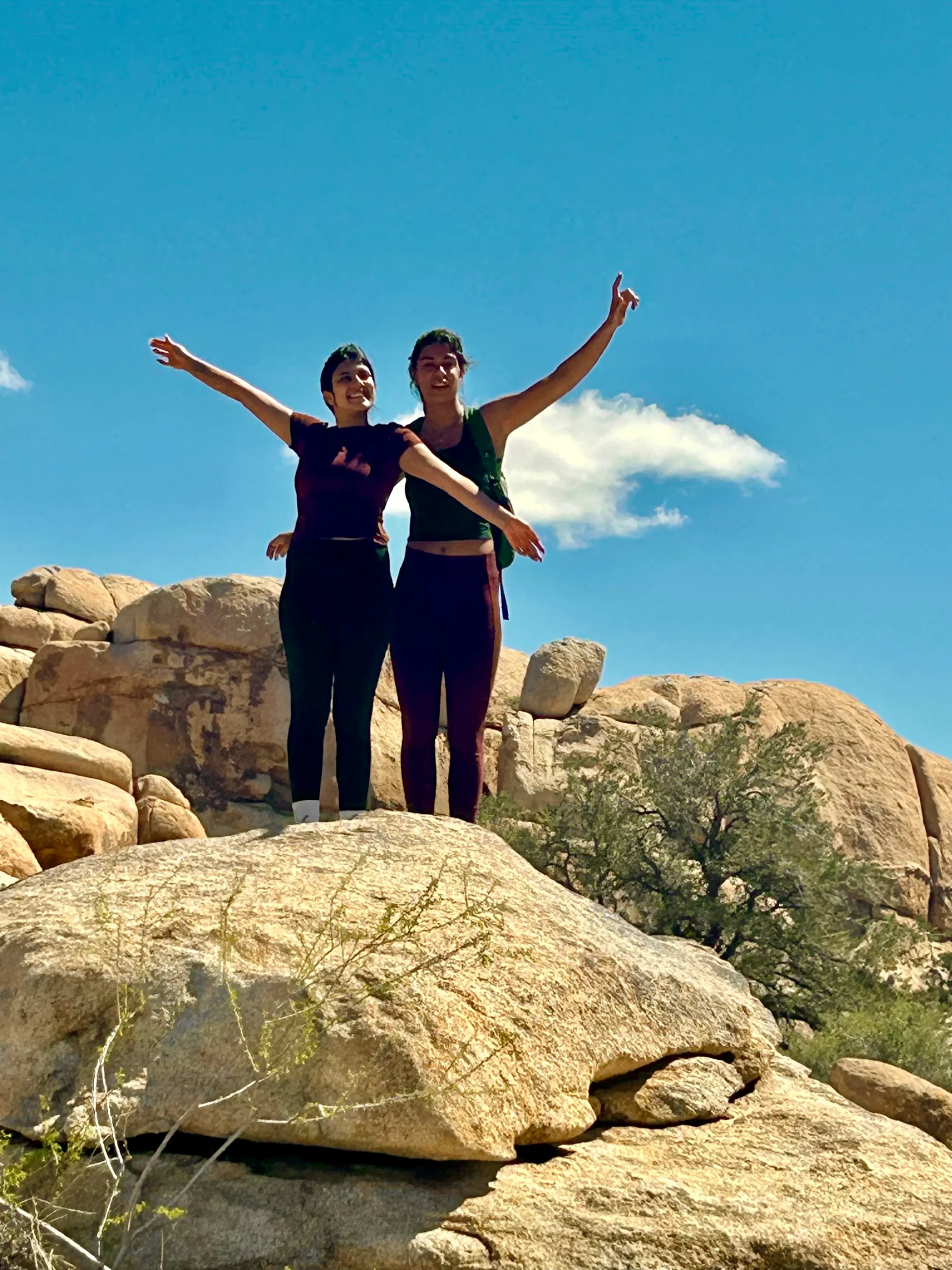 Stretch-eze Retreat Deposit - Joshua Tree